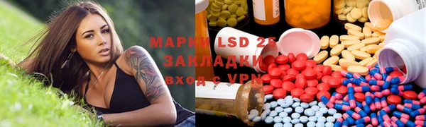 молекула духа Вяземский