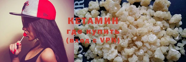 молекула духа Вяземский