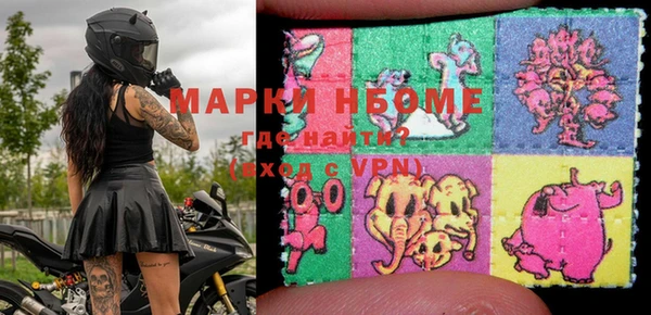 прущие грибы Вязники