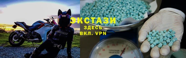 молекула духа Вяземский