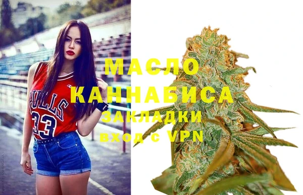 молекула духа Вяземский