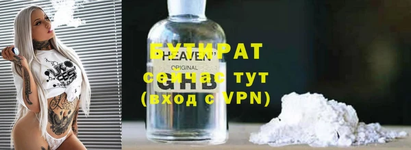 молекула духа Вяземский