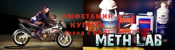 молекула духа Вяземский
