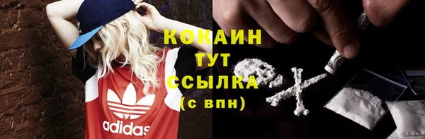 молекула духа Вяземский