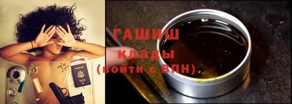 молекула духа Вяземский