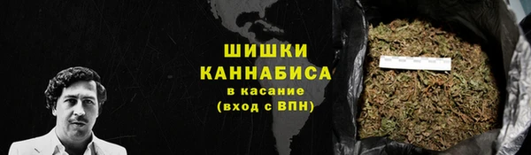 молекула духа Вяземский