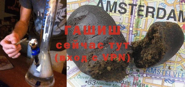 прущие грибы Вязники