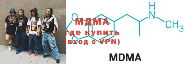 молекула духа Вяземский