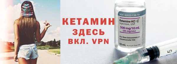 прущие грибы Вязники