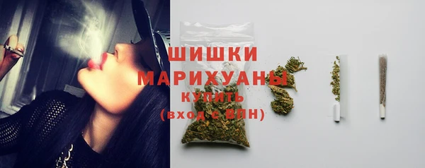 прущие грибы Вязники