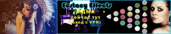 прущие грибы Вязники