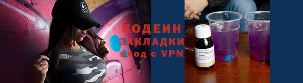 прущие грибы Вязники