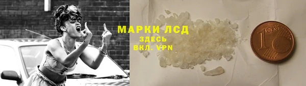 молекула духа Вяземский