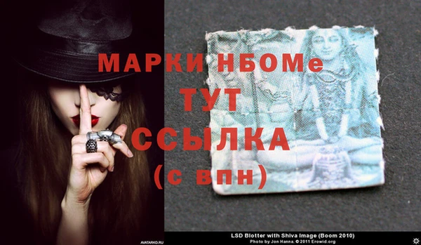 прущие грибы Вязники