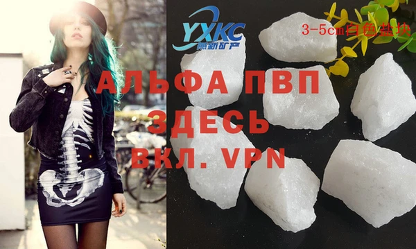 прущие грибы Вязники