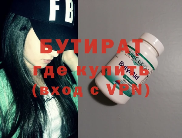 молекула духа Вяземский