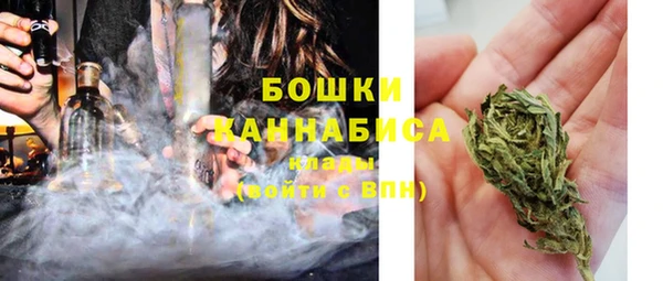 молекула духа Вяземский