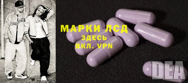 молекула духа Вяземский