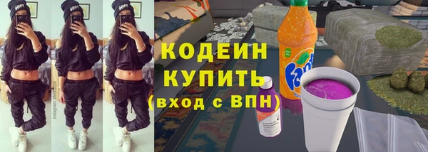 молекула духа Вяземский