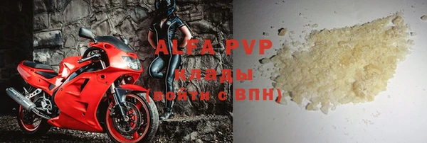 прущие грибы Вязники