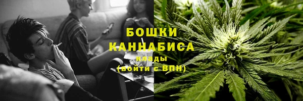 прущие грибы Вязники