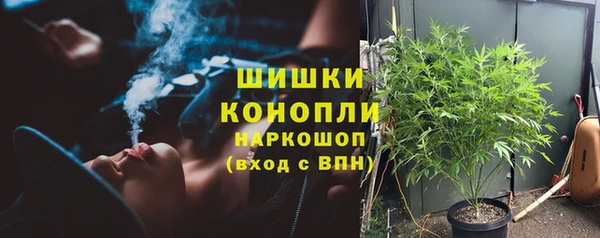 прущие грибы Вязники