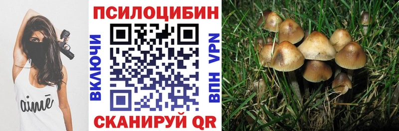 мориарти телеграм  blacksprut маркетплейс  Галлюциногенные грибы Cubensis  Полесск  где купить наркоту 